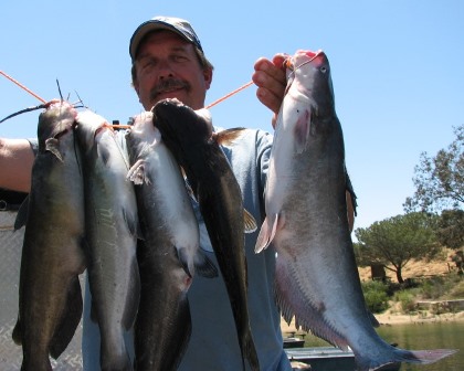 Jeff Kopischke 5 cats - Copy.jpg